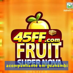 acompanhante em guanambi